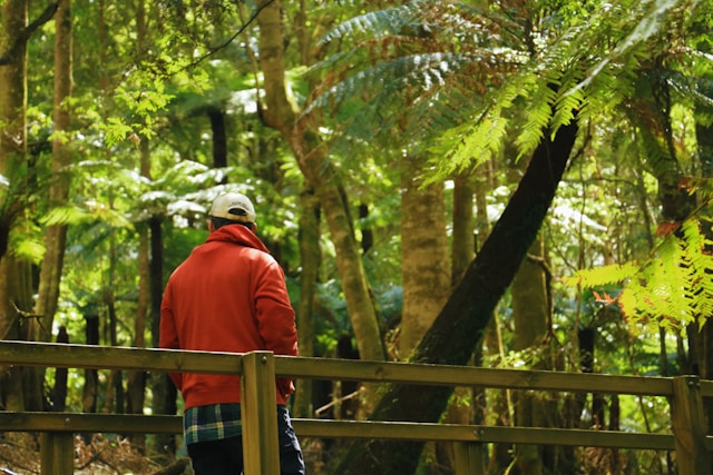 Berlavexa join journey